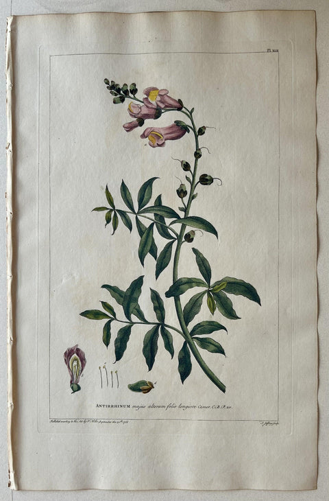On Snapdragons