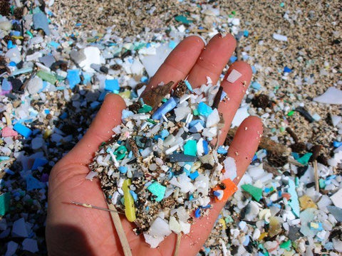 The Perils of Plastic Pollution in the Pacific Ocean: An Unseen Catastrophe for Marine Life - Erbal