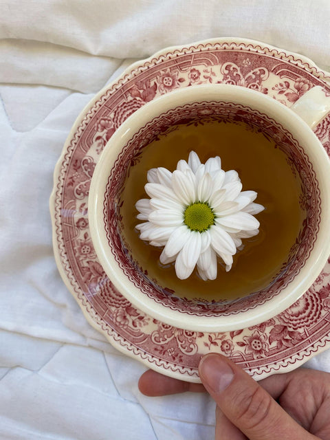 Unveiling the Taste of the Best Herbal Tea: The Key to Lifelong Wellness - Erbal