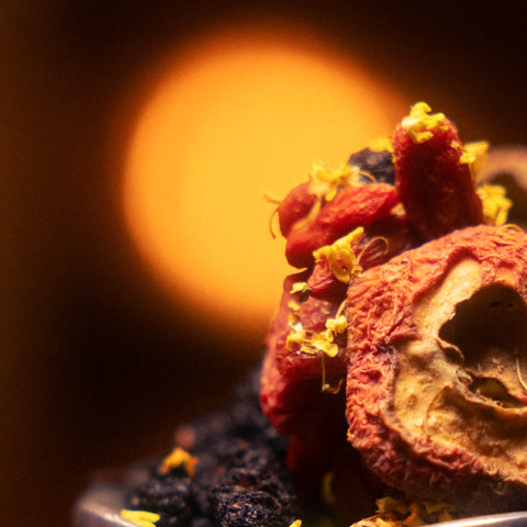 Cold Brew Bundles (Power Potion + Visionary)