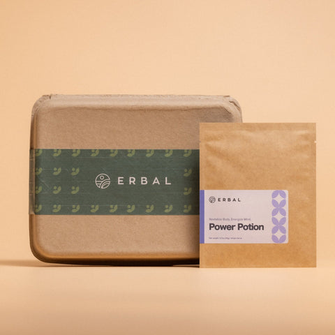 Cold Brew Bundles (Power Potion + Visionary) - Erbal | natural hydration with herbs, whole fruits and superfoods