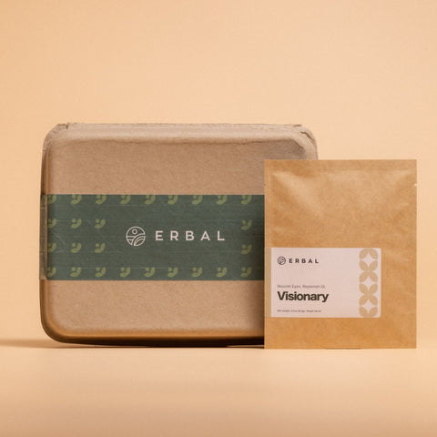 Cold Brew Bundles (Power Potion + Visionary) - Erbal | natural hydration with herbs, whole fruits and superfoods